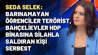 Seda Selek: Barınamıyoruz diyen öğrenciler terörist, Bahçelievler HDP binasına saldıran kişi serbest