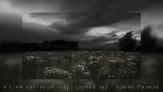 я твой ласковый зверь (speed up) - Алина Орлова (Vision beat prod remix)