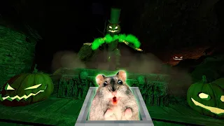 Hamster in Halloween Roller Coaster Maze 2022