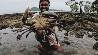 অনেক দেখেছেন খাড়ির কাকড়া আজ দেখুন সমুদ্রের শের !! @ANDAMAN_HUNTERS