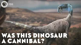 Was This Dinosaur a Cannibal?