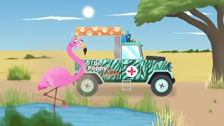 Dr. Poppy/Animal Cartoons