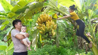 [30 DAYS] Harvest Banana, Melon, Lemons, Guava and Grapefruit go to market sell- Happy Family