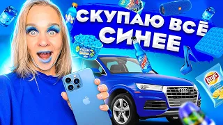 СКУПАЮ ВСЕ СИНЕГО ЦВЕТА ЧЕЛЛЕНДЖ! Мой бюджет не ограничен! 24 часа в одном цвете! // EVA mash