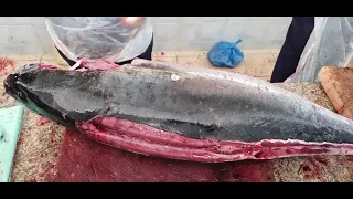 Biggest Fire Fish Cutting|| Largest Fire Fish Cutting|| Amazing Fire Fish Cutting