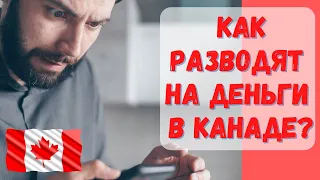 Как разводят на деньги в Канаде? Остерегайтесь мошенников! #мошенники#Канада#минусыканады