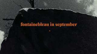 Fontainebleau Bouldering in September