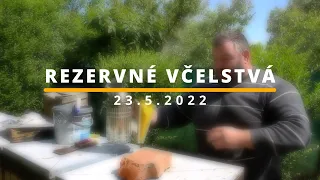 86. Rezervné včelstvá - odložence, roje prečo ich mám a ako s nimi pracovať