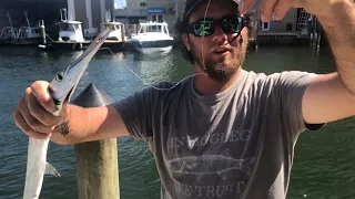 Canal Marlin Rescue Extreme Houndfish - Ramp Monsters with O'Gorman