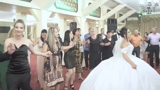 Petrica Mitu Stoian   Hore & Sarbe Muzica de Petrecere Nunta Daniel & Mihaela