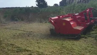 Vigolo TDF250 Mulcher