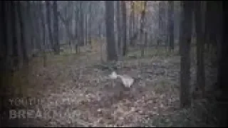 5 видео, которые показывают неудачи в реальности часть 2