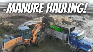 Time to Haul Manure!