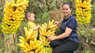 Single mother : Harvest bananas and sell them at the market - make banana cake