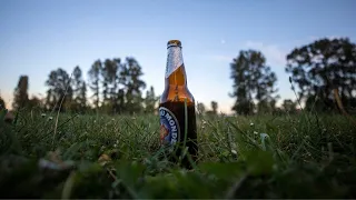 Regina council will not allow alcohol consumption in city parks