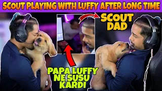 Scout Live Playing With LUFFY🐕 | Scout Dad On Live | Luffy Toilet On Live