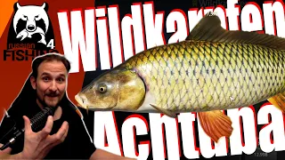 Russian Fishing 4 - Achtuba - Wo ist der Wildkarpfen???!