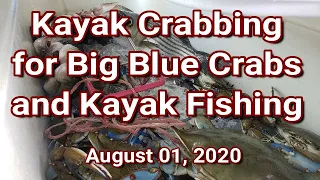 Kayak Crabbing for Big Blue Crabs and Kayak Fishing 08-01-2020