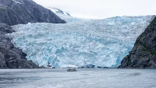 A trip to Holgate glacier - Kenai Fjords - Alaska