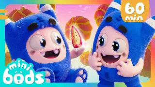 Pogo Found The PEAR-fect Snack! 🍉 | 🌈 Minibods 🌈 | Preschool Cartoons for Toddlers