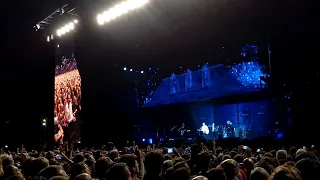 Paul McCartney Argentina 2019 - "In Spite of all the Danger" - Campo Argentino de Polo