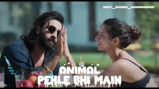 Pehle Bhi Main Tumse Mila Hun - Pehle Bhi Main [ Slowed + Reverb ] | Animal | Vishal Mishra#animals