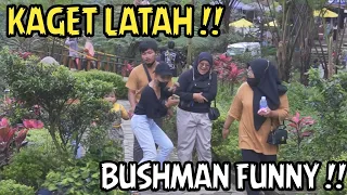 Bushman Prank Kocak Parah !!! Prank Pohon Hidup Funny Videos