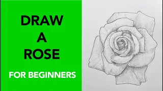 Draw a rose!