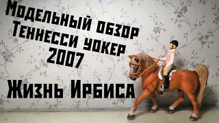 Модельный обзор. Теннесси уокер 2007.