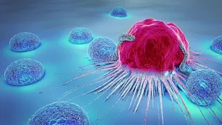 Të luftosh kancerin me qelizat e tua: Shkencëtarët zviceranë zhvillojnë terapi të reja