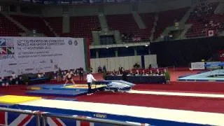 World Championships 2013 - DMT Mens Team Final