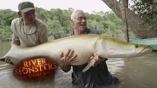 Incredible REEL TIME Arapaima Catch | ARAPAIMA | River Monsters