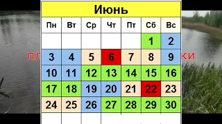 Прогноз клева рыбы на Июнь 2024.Календарь рыбака на июнь. Лунный календарь рыбака июнь #рыбалка2024