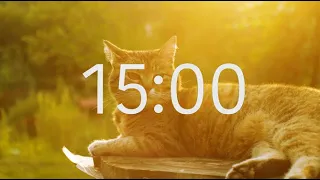 15 Minute Timer with Relaxing Music: Cat Theme