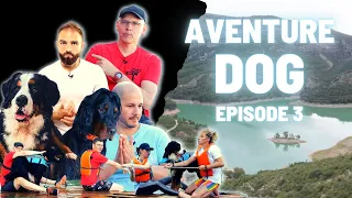 Aventure Dog - Saison 1- Ep 3 - Esprit Dog