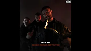 Макс Корж — Animals prod. Insando (Official audio)