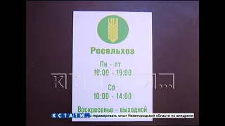 Двойник известного банка открыт для обмана доверчивых нижегородцев