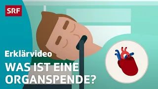 Organspende & Transplantation – einfach erklärt | Kindervideos | SRF Kids