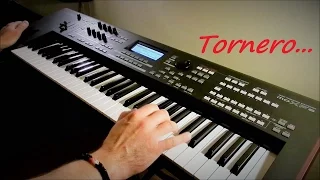 Tornero - I Santo California - Instrumental Version - Piotr Zylbert on Yamaha moXF6 - Live (HD)