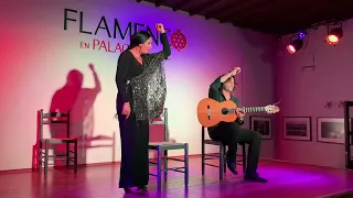 Estrella Fernández, José Cortés el Pirata Paco Fernández • Tablao Flamenco en Palacio • Granada