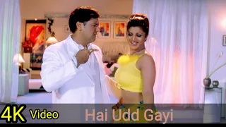 Hai Udd Gayi 4K Video Song | Govinda | Rambha |  Anuradha Sriram & Sonu Nigam HD