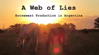 A Web of Lies - Horsemeat Production in Argentina