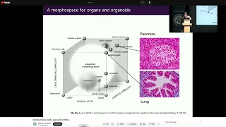 Clip: Ricard Sole Describes the Syn Bio Morphospace He, Neri Oxman, and Michael Levin Are Working In