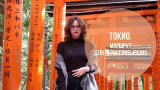 Японский мегаполис Токио в 2020. Маршрут для первой поездки. Как арендовать велосипед? Лайфхаки.