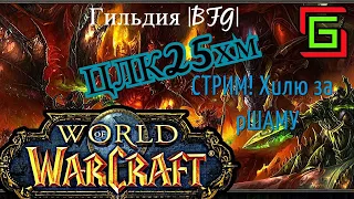 World of warcraft ! Цлк25хм !  хилю за рШАМУ. wowcircle x100. Lich King