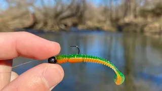 TROUT LOVE THIS SWIMBAIT! (Creek Fishing)