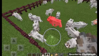 Asdlodos minecraft çiftlik