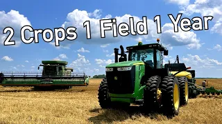 Harvesting wheat and planting double crop soybeans