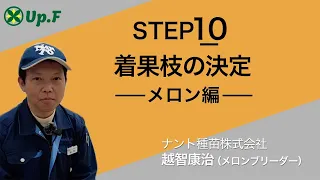 【Up.FTV メロン編 STEP10】着果枝の決定