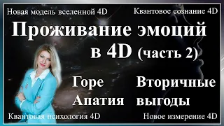 Вторичные выгоды. Апатия. Горе. Квантовое сознание. Проживание эмоций в четвертом измерении.